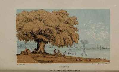 Singapore, acquerello di Robert Elwes (1819-1878), un giovane gentiluomo britannico benestante di Norfolk da Robert Elwes